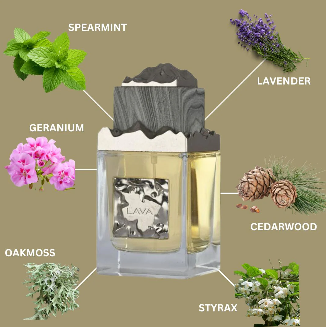 Lava by Maison Alhambra EDP 100ml